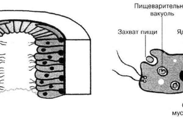 Кракен наркологический