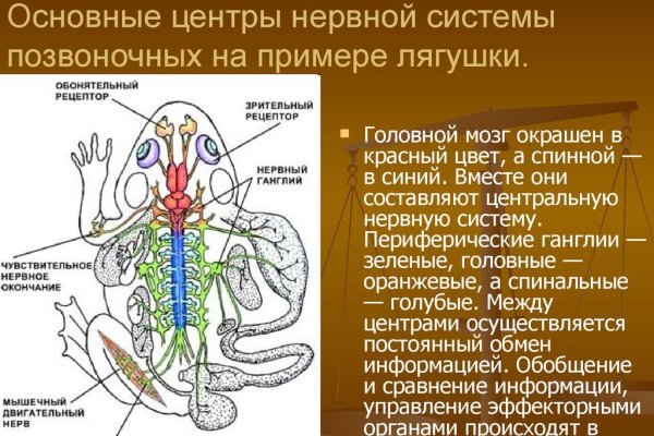 Ссылка на кракен krakens13 at